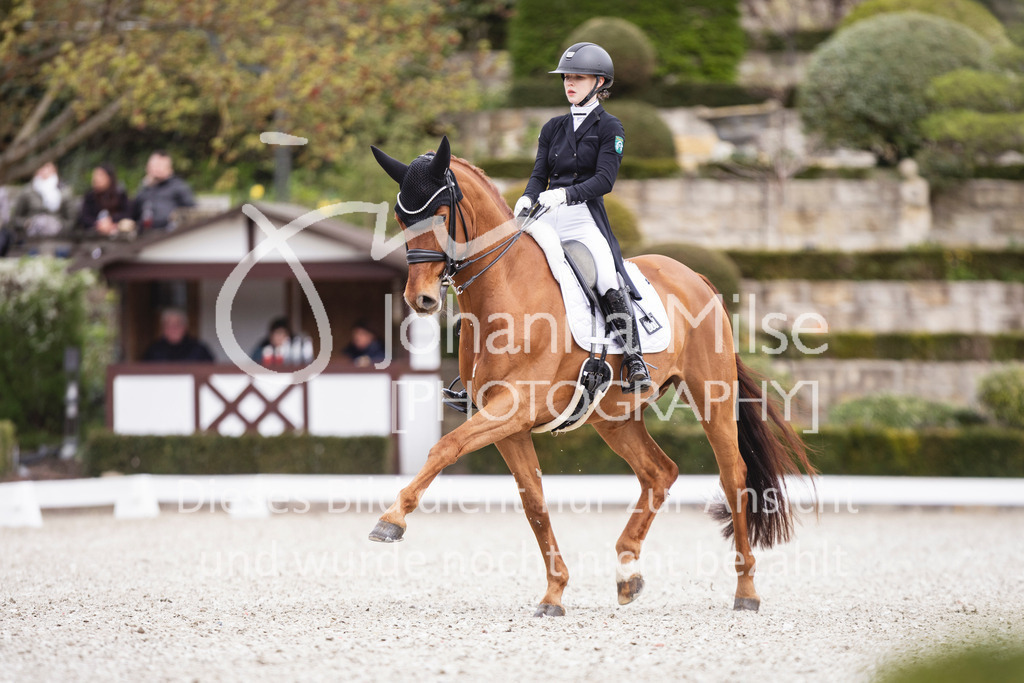 260412_Kronberg_S-Dressur-627 | Deine schönsten Turniermomente als professionelle Fotos! Entdecke hochwertige Pferdesport-Fotografie im Online-Shop. Jetzt Fotos finden & bestellen!