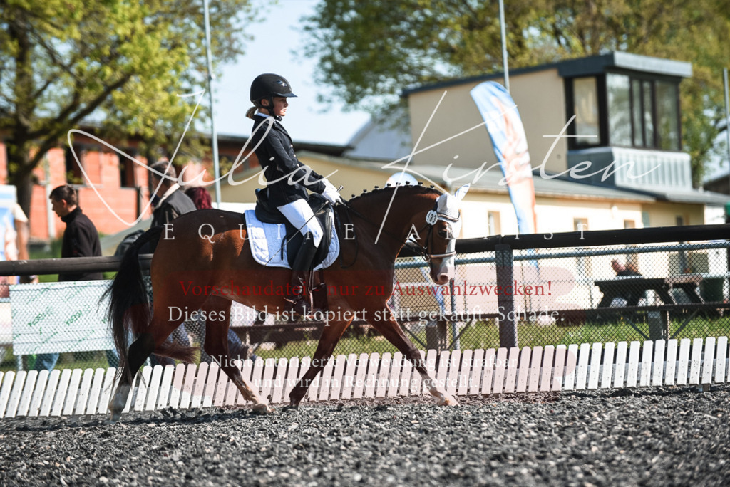 DSC_8704 | Pferde- und Turnierfotografie in Westsachsen. Pferdeportraits, Auftragszeichnungen und intuitive Kunst.