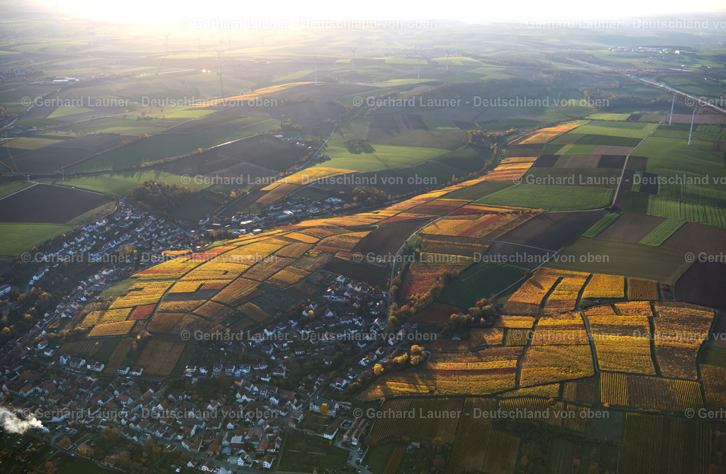 4042900 | Weinberge bei Mainstockheim, Weinlagen Hofstück, Berg-Rondell