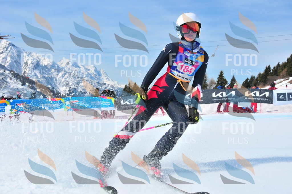 DSC_5401 | holidayphoto