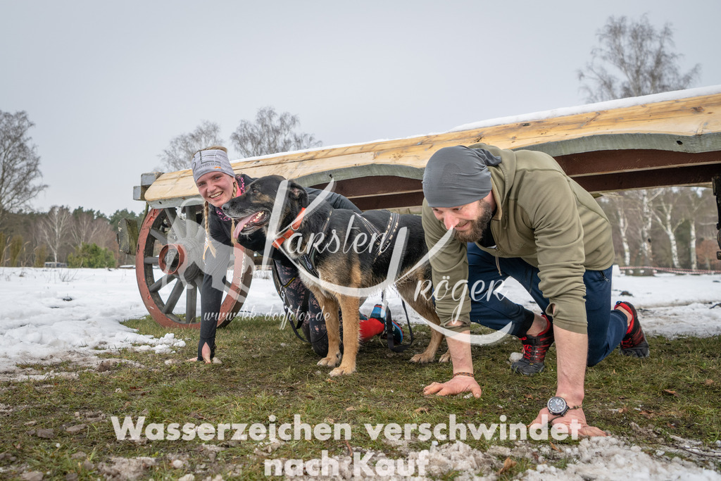 0938_ZZ91079 | kk-dogfotos