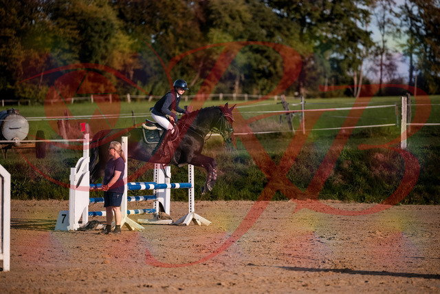 2026_10_03_Siefer-Hof_171558_Z81_13829007 | Professionelle Reitsport-, Turnier- und Eventfotografie von Robert Broda. Galerien mit ausgewählten und bearbeiteten Bildern direkt online ansehen und bestellen.