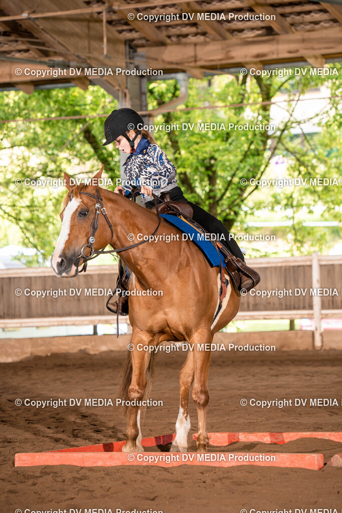 Erbach Tag 1-144 | dv-media-shop - Realisiert mit Pictrs.com