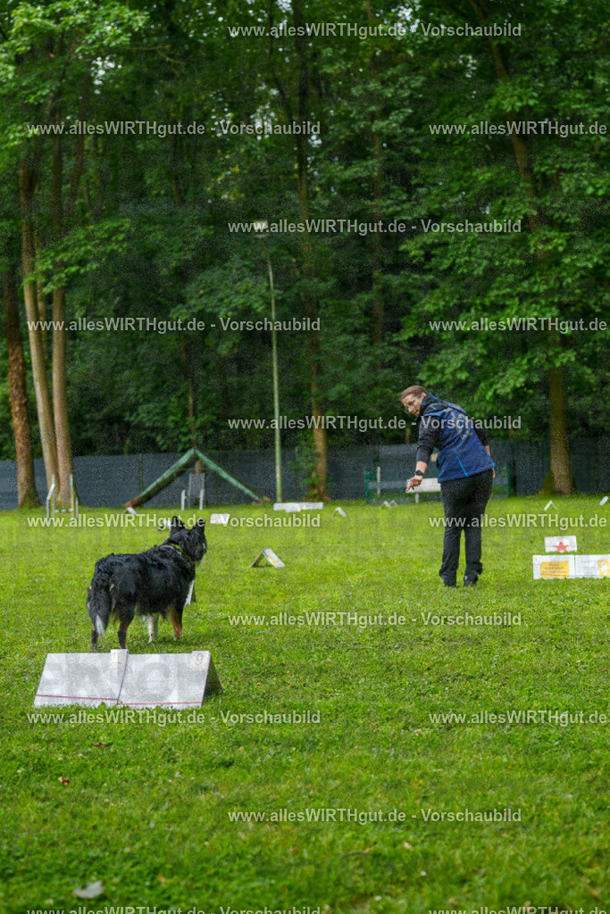 @allesWIRTHgut_Tierfotografie - www.allesWIRTHgut.de - 7R501977 | Professionelle Tierfotografie in Mönchengladbach von Daniel Wirth (allesWIRTHgut). Liebevolle & natürliche Bilder von Hunden & Katzen für unvergessliche Erinnerungen.
