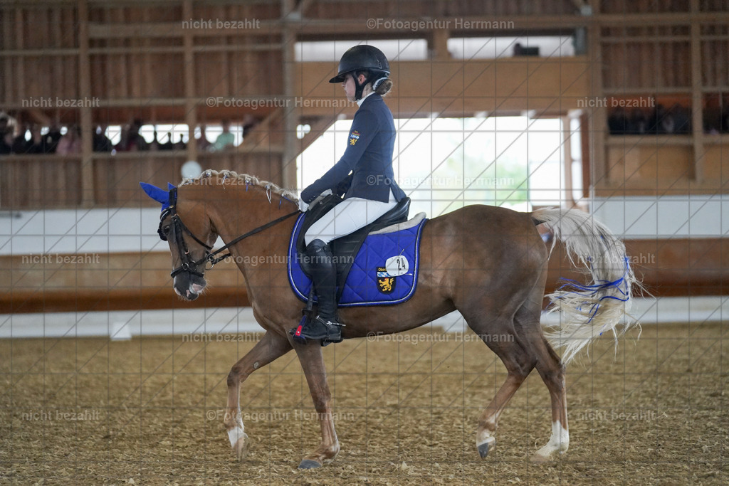 20240825-FAH09189 | Turnierbilder, Reitsportfotos, LAPO, Landesponyturnier, Turnierfotografen Bayern