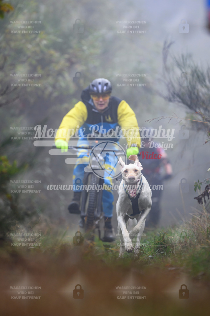 MompixPhotography_20TSB_E4_Bike-117 | PayLife