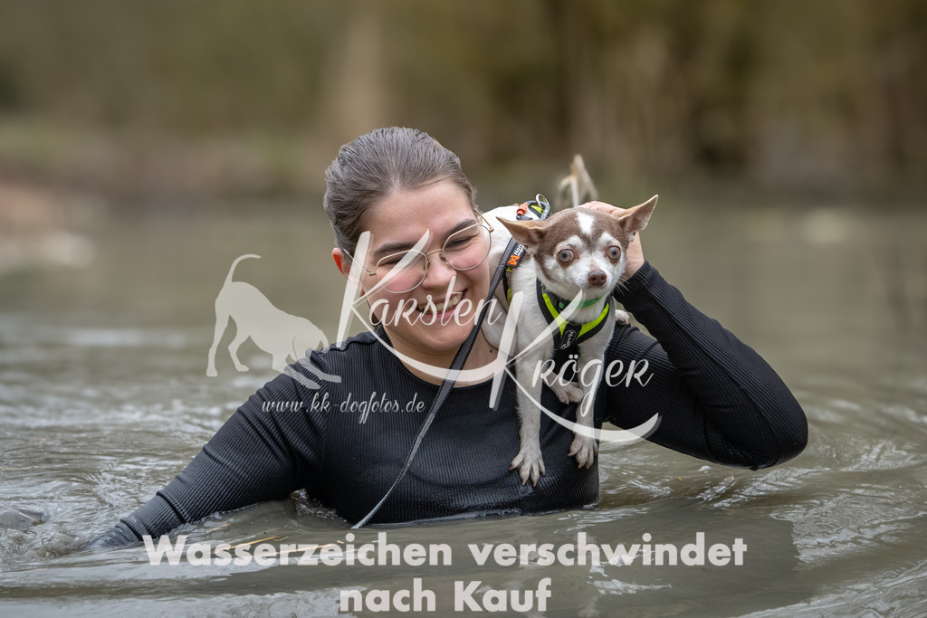 1114_ZZ97902 | kk-dogfotos