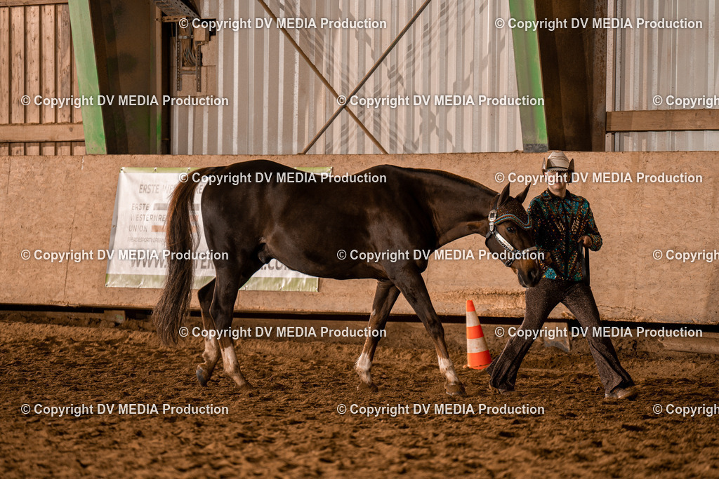 BAL01300 | dv-media-shop - Realisiert mit Pictrs.com