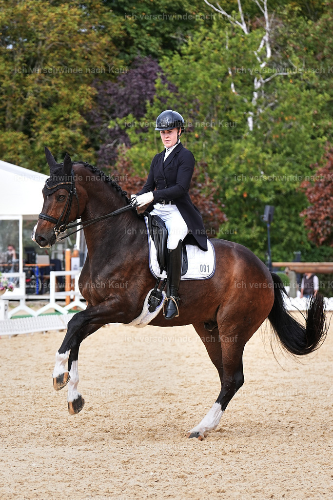 11-091-Dressur S___-Marixx-1633 | working equitationturnier fotograf videograf stoibphotography marixx film working equitation deutschland reitsport turnierfotografie eventfotografie equestrian events