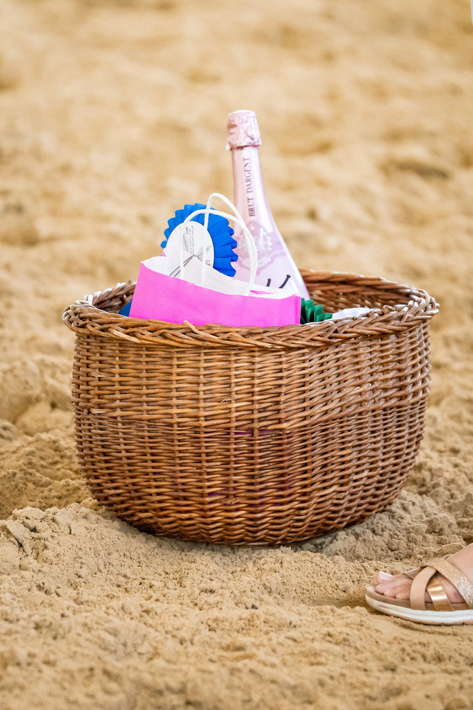 DSC09526 | Pferdegrafie