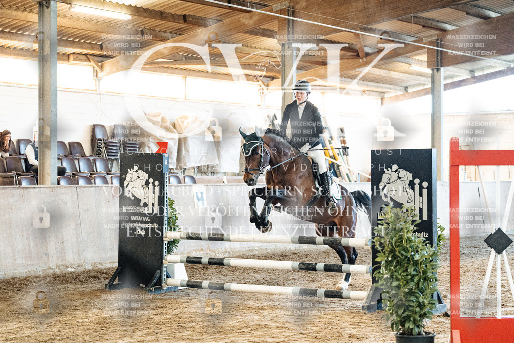 CK904291 | Turnierfotografie Pferdefotografie Trier Rheinland-Pfalz Pferdesport Reitsport Tierfotografie Sportfotografie Pferdevideo Pferdevideografie Equestrianvideography equestrianphotography  - Realisiert mit Pictrs.com