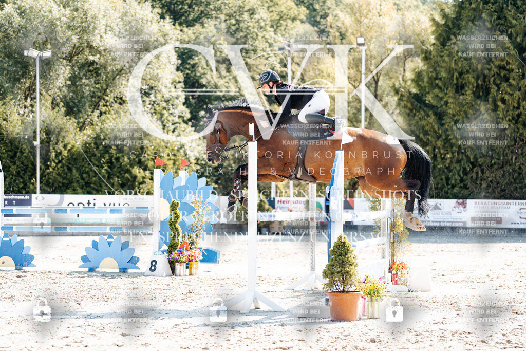 CK902707 | Turnierfotografie Pferdefotografie Trier Rheinland-Pfalz Pferdesport Reitsport Tierfotografie Sportfotografie Pferdevideo Pferdevideografie Equestrianvideography equestrianphotography  - Realisiert mit Pictrs.com
