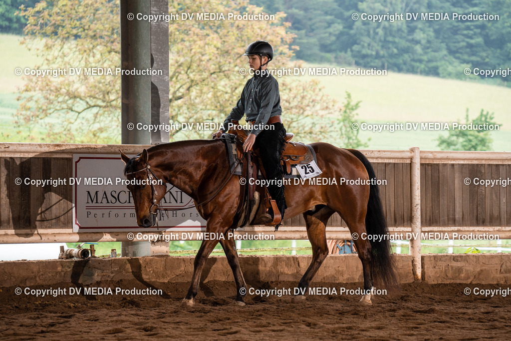 Erbach Tag 4-330 | dv-media-shop - Realisiert mit Pictrs.com