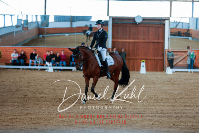 _62_5184 | Turniersportfotografie; Pferdefotografie; Dressurfotografie