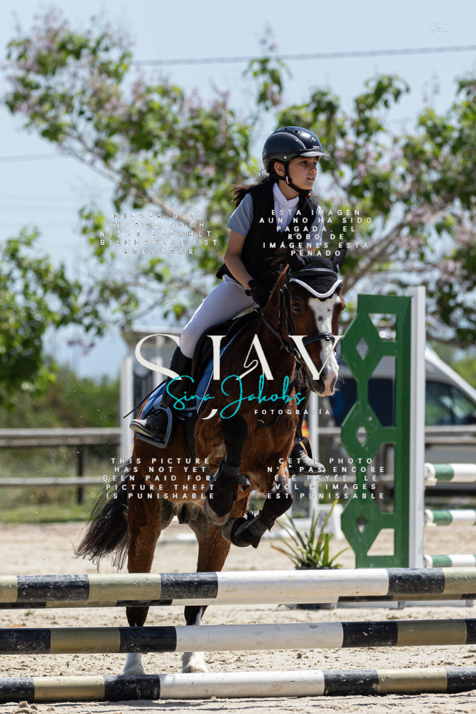 IMG_0237 | s-jay-photography - Realisiert mit Pictrs.com