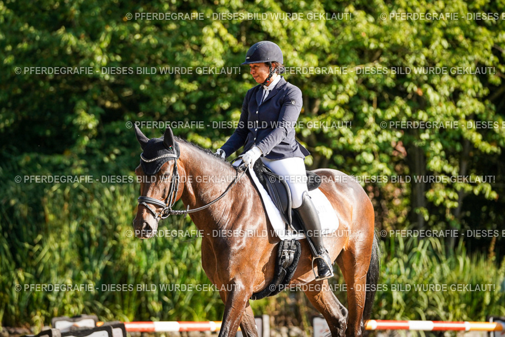 DSC08615 | Pferdegrafie