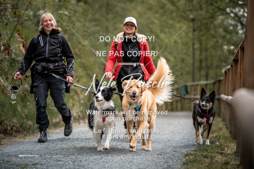 nelerasche_SaAbends_20 | nelerasche