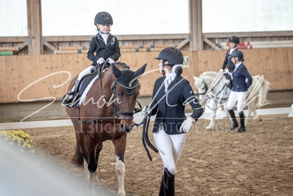 20251011-_3LI8699 | Tierfotografie Pferde, Hunde, Katzen, Haustiere.
Turnierfotografie Reitturniere, Reiten, Springreiten, Dressur in Hanau, dem Main-Kinzig-Kreis und dem Rhein-Main- Gebiet um Frankfurt
