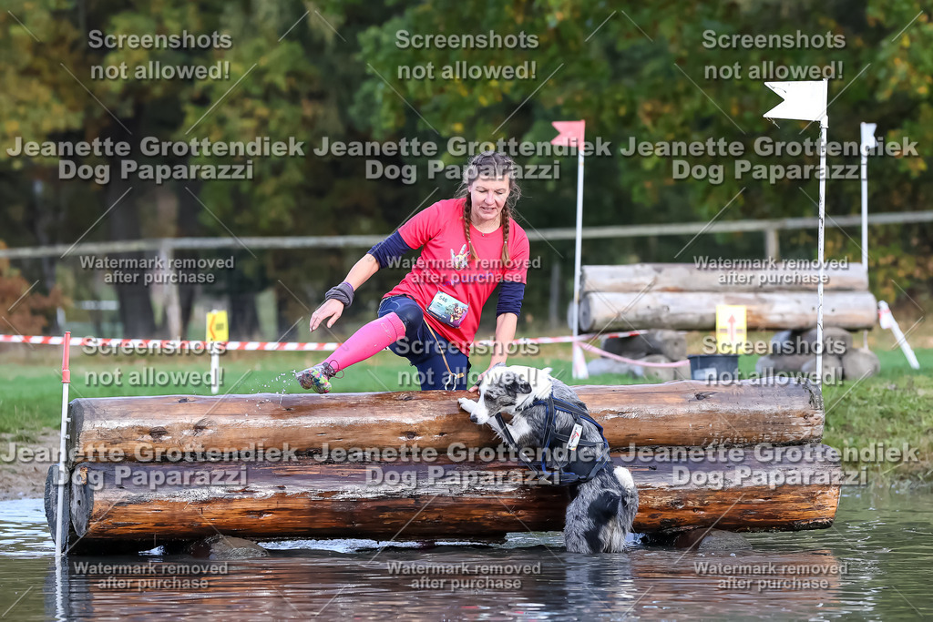 Dog Paparazzi - Strongdog 10-25-6990 | Dog Paparazzi Jeanette Grottendiek Fotografie & Videografie - Realisiert mit Pictrs.com