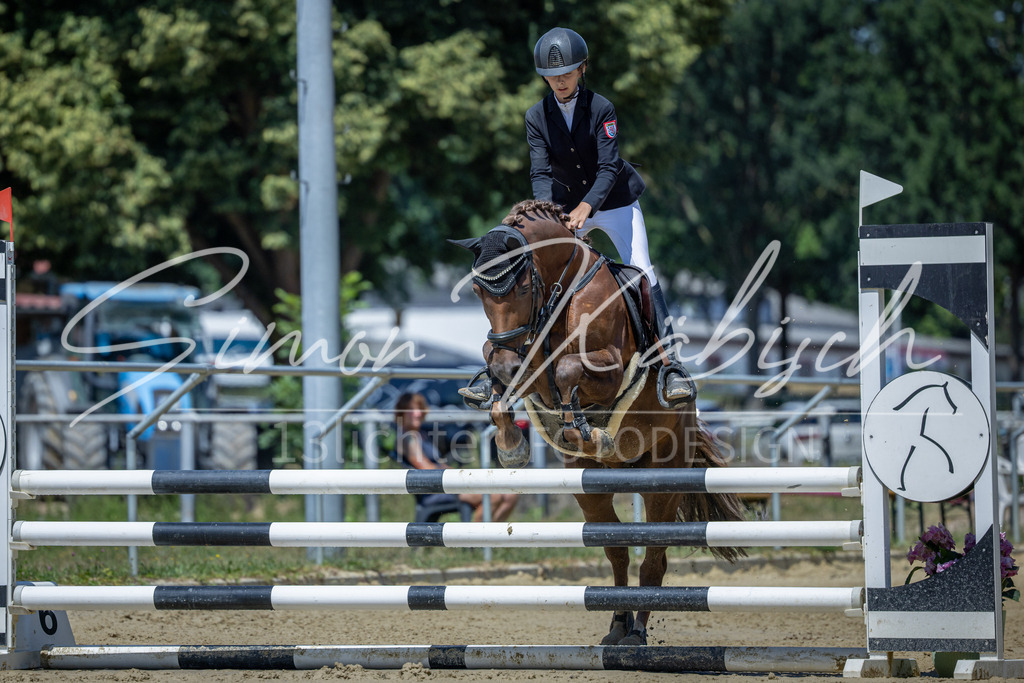 20260704-_3LI8301 | Tierfotografie Pferde, Hunde, Katzen, Haustiere.
Turnierfotografie Reitturniere, Reiten, Springreiten, Dressur in Hanau, dem Main-Kinzig-Kreis und dem Rhein-Main- Gebiet um Frankfurt
