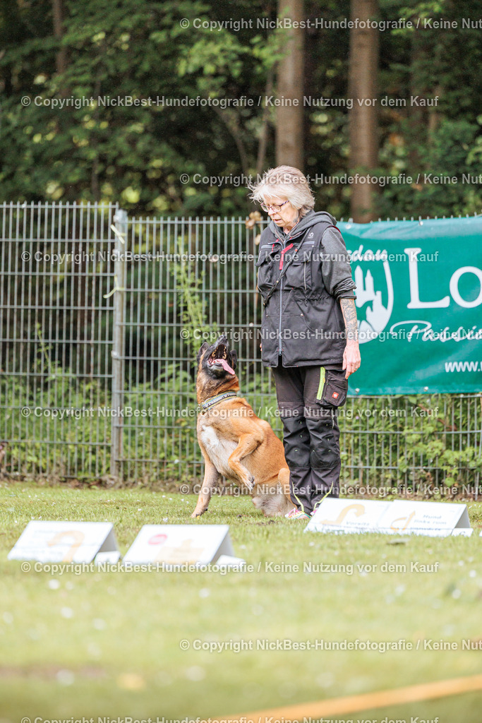 RO-Blumenthal-2026-Nickbest-Hundefotografie-4100 | Dein Hund! Dein Moment! Deine Erinnerungen! Hundefotografie in Bremen Blumenthal. Ich fange die besonderen Momente deines Vierbeiners ein – ob Indoor mit Blitzanlage oder in der freien Natur. Sicher dir dein Moment und dein Termin für eure Erinnerungen.