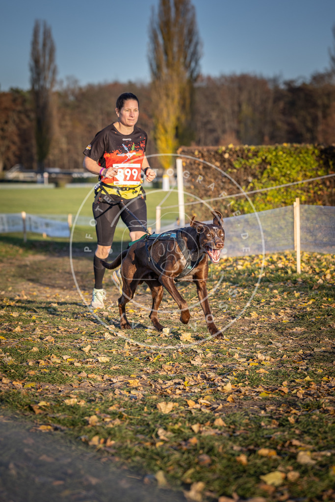 CaniXpix_DV3A4588 | Hundefotografie, Tierfotograf, Pfotenfotografie, Fotoshooting Hund, Hunde Portrait, Hundesport, Hundeportraits, Heideshooting, Hunde, Sportfotograf, Hundefotograf, Turnierhundsport, THS,  - Realisiert mit Pictrs.com