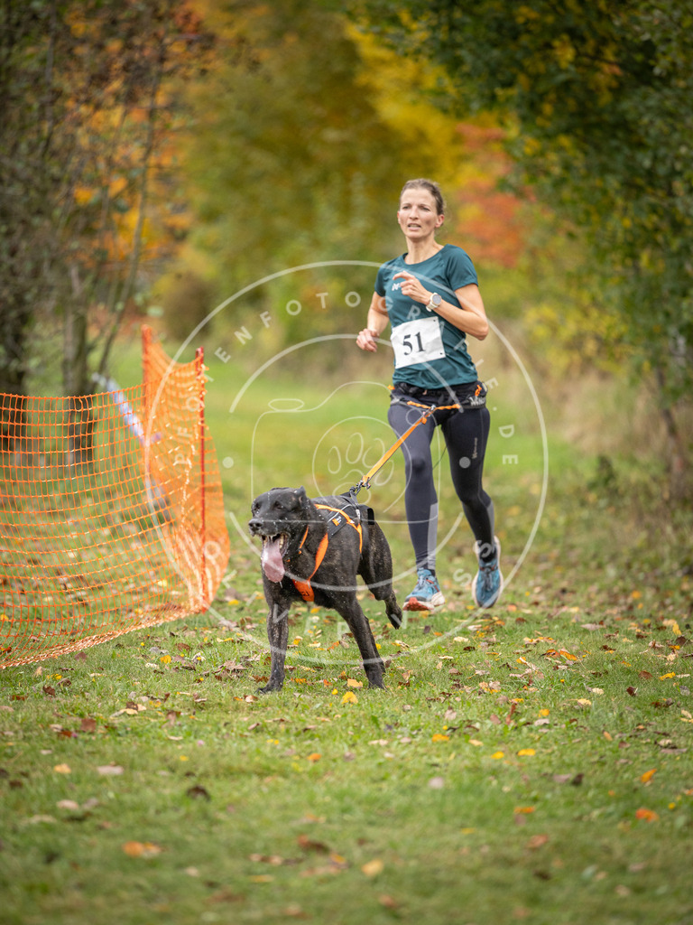 Pfotenfotografie_DV3A2480 | Hundefotografie, Tierfotograf, Pfotenfotografie, Fotoshooting Hund, Hunde Portrait, Hundesport, Hundeportraits, Heideshooting, Hunde, Sportfotograf, Hundefotograf, Turnierhundsport, THS,  - Realisiert mit Pictrs.com