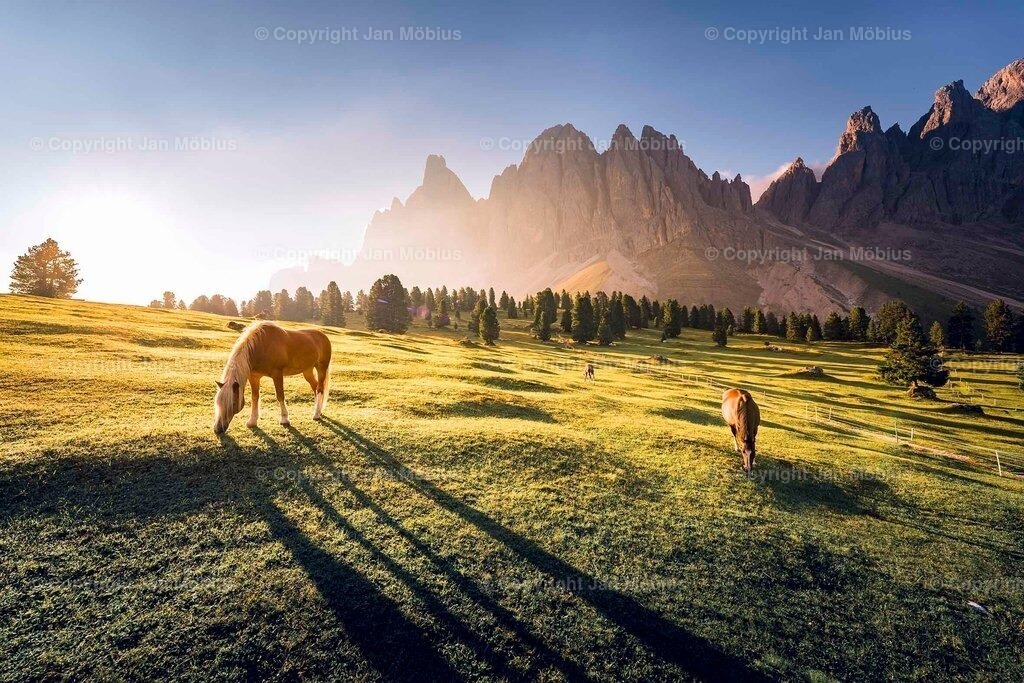 _DSC1547 | Leipzig Wandbilder Drucke Prints Leinwand Stadtmotive Leipzig Fotosdruck Kunstdrucke Bilder Leipzig Stadtansichten Acrylglasbilder Leipzig Wanddeko Fine Art Prints Wandbilder Büro Leipzig Bilder Praxis Zuhause Bilderdruck Poster Posterlounge Kunstdrucke - Realisiert mit Pictrs.com