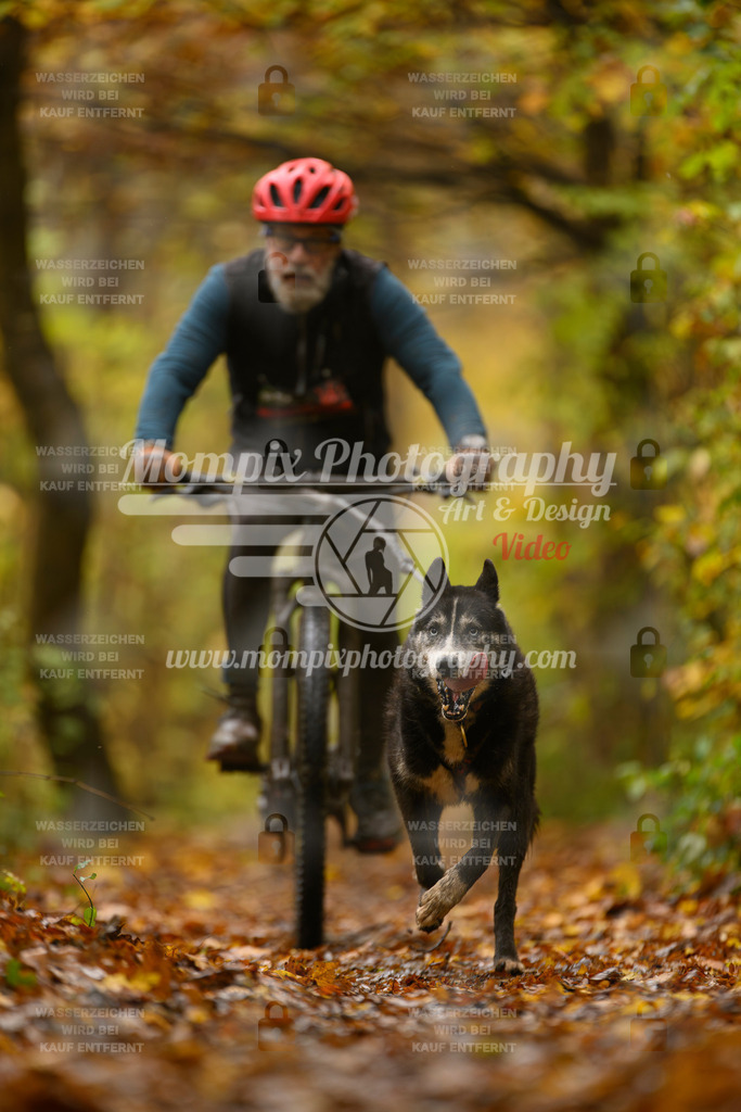 MompixPhotography_CD7S_DI_Bike-47 | mompixphotography