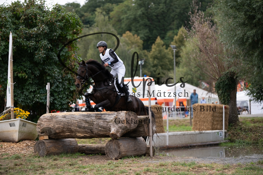 A7V00701 | Pferdefotograf