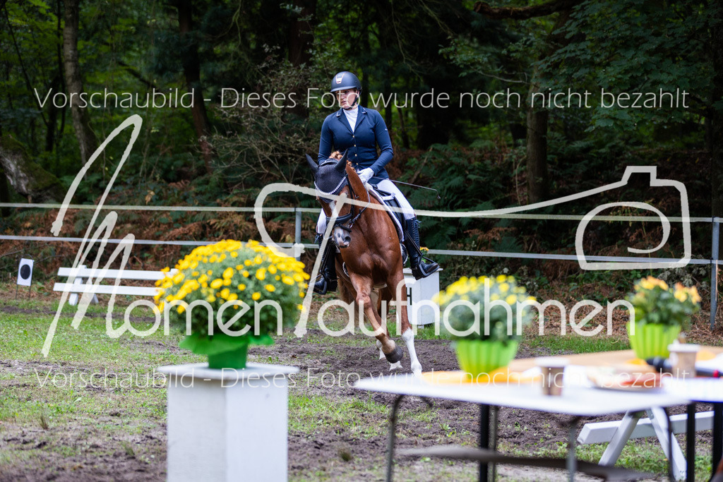 HB-A-Dressur-163 | MomenTaufnahmen Pferdesportfotos