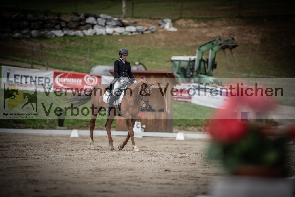 DSC_2519 | equestrian-live-com