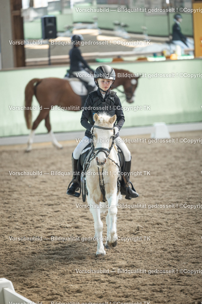 _D5A8852 | Emotionale Pferde- & People-Fotografie rund um Heidelberg, Leimen & Umgebung. Natürliche Fotos von Pferd, Mensch & Familie. Jetzt Termin sichern!