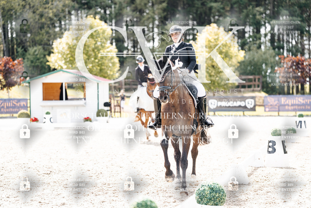 CK901020 | Turnierfotografie Pferdefotografie Trier Rheinland-Pfalz Pferdesport Reitsport Tierfotografie Sportfotografie Pferdevideo Pferdevideografie Equestrianvideography equestrianphotography  - Realisiert mit Pictrs.com