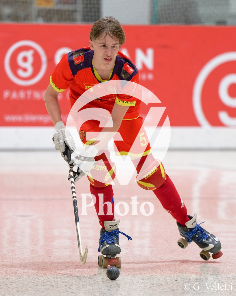 DSC_2931 | Velletri Photo