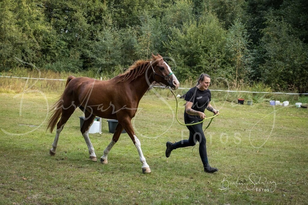 DdLH-NU_2025-09-20_02 | Fotografie, Veranstaltungs-Fotografie, Pferde-Fotografie, Landschafts-Fotografie, Reise-Fotografie - Realisiert mit Pictrs.com