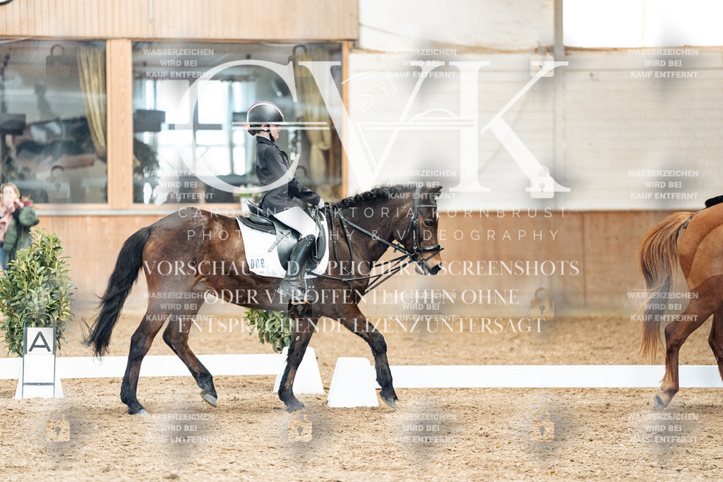 CK900441 | Turnierfotografie Pferdefotografie Trier Rheinland-Pfalz Pferdesport Reitsport Tierfotografie Sportfotografie Pferdevideo Pferdevideografie Equestrianvideography equestrianphotography  - Realized with Pictrs.com