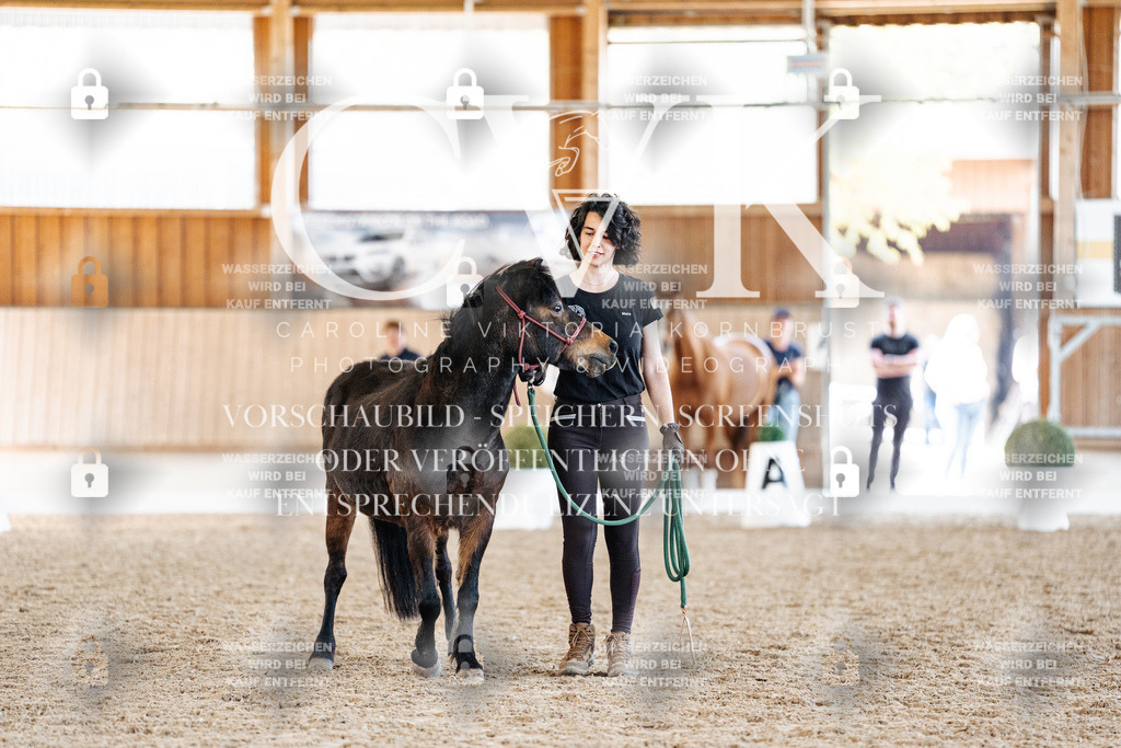 CK906886 | Turnierfotografie Pferdefotografie Trier Rheinland-Pfalz Pferdesport Reitsport Tierfotografie Sportfotografie Pferdevideo Pferdevideografie Equestrianvideography equestrianphotography  - Realized with Pictrs.com