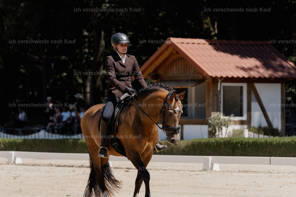 WE_DR_23_SinaFilmArt_IN03036 | working equitationturnier fotograf videograf stoibphotography marixx film working equitation deutschland reitsport turnierfotografie eventfotografie equestrian events