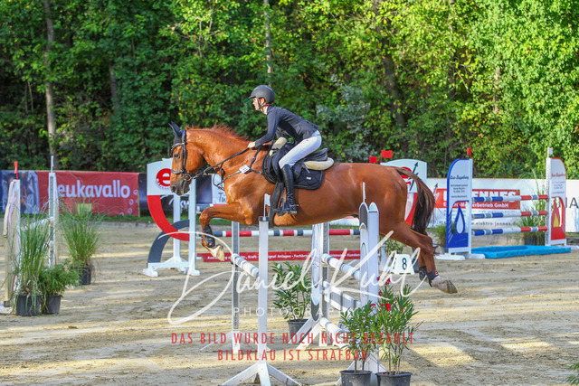 DKP42577 | Turniersportfotografie; Pferdefotografie; Dressurfotografie