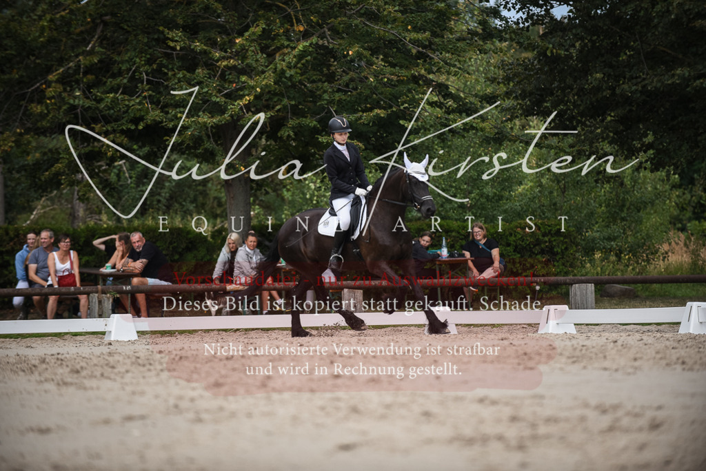 DSC_8589 | Pferde- und Turnierfotografie in Westsachsen. Pferdeportraits, Auftragszeichnungen und intuitive Kunst.