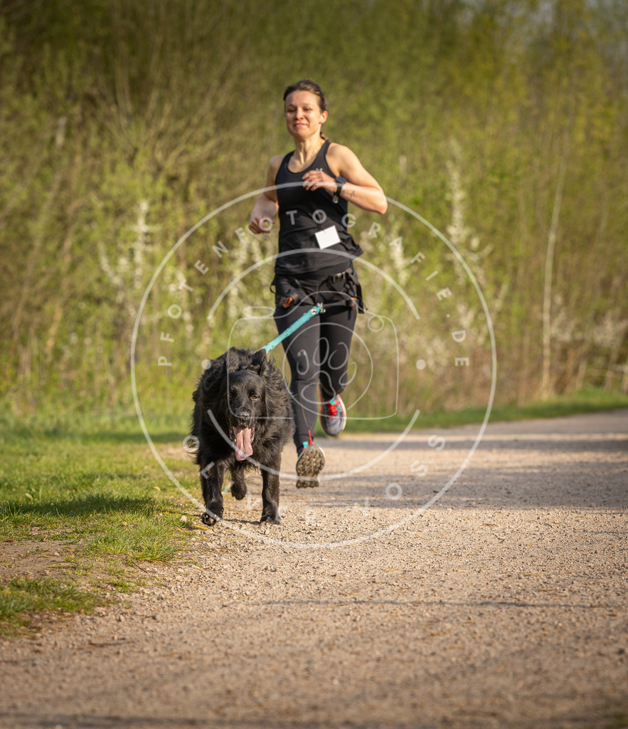 Pfotenfotografie_DV3A4480 | Hundefotografie, Tierfotograf, Pfotenfotografie, Fotoshooting Hund, Hunde Portrait, Hundesport, Hundeportraits, Heideshooting, Hunde, Sportfotograf, Hundefotograf, Turnierhundsport, THS,  - Realisiert mit Pictrs.com