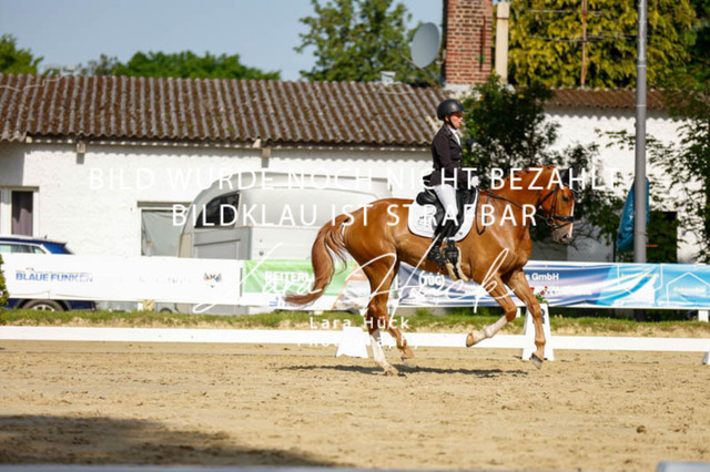 _62_2498 | larahueckfotografie