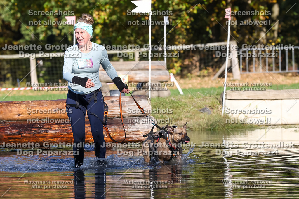Dog Paparazzi - Strongdog 10-25-8879 | Dog Paparazzi Jeanette Grottendiek Fotografie & Videografie - Realisiert mit Pictrs.com