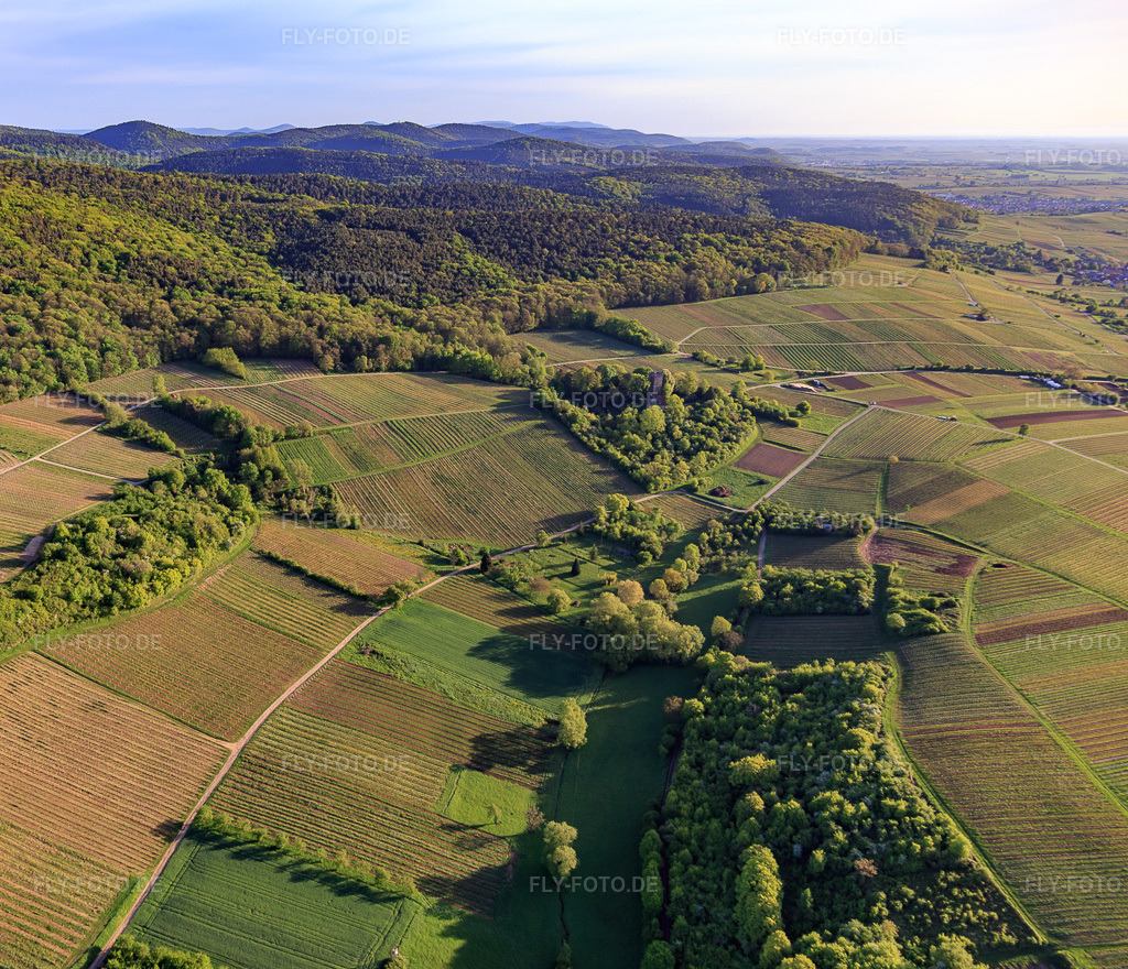Luftbild: Weinlage Sonnenberg in Wissembourg im Bundesland Bas-Rhin in Frankreich. – Foto: IMG_107017.jpg vom 27.04.2018 durch Werner Riehm/FLY-FOTO.de – Auflösung des Originals: 4247 x 3648 px