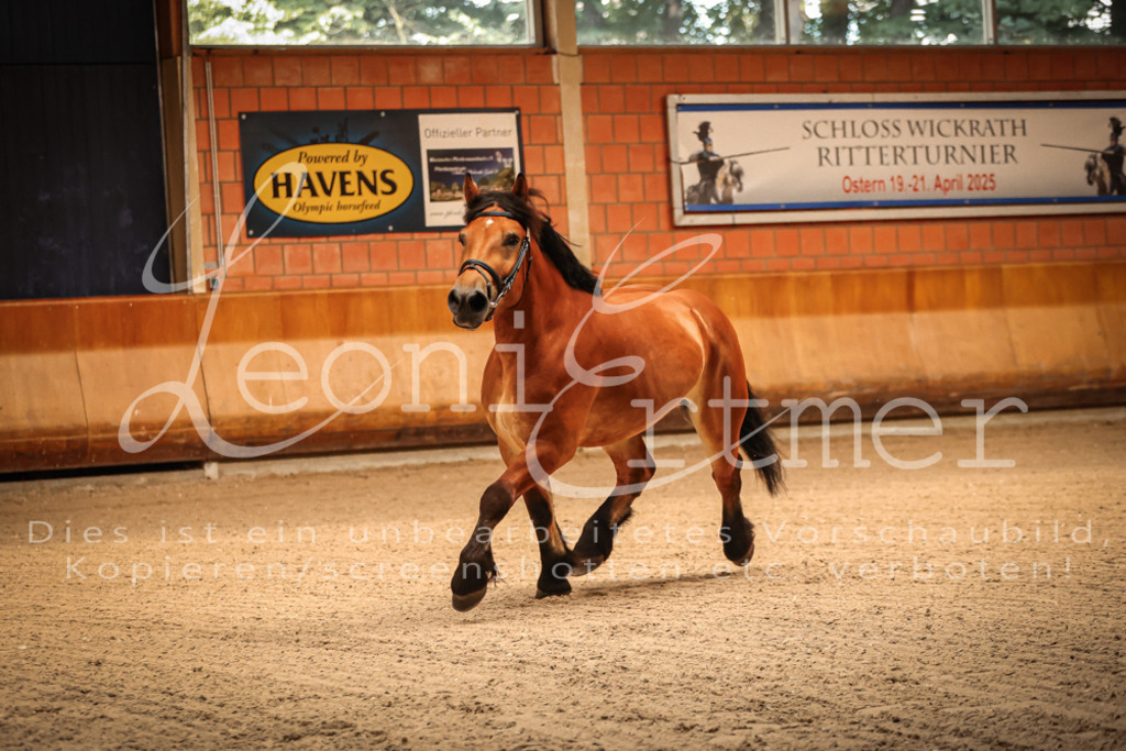 SaFL00015 | Leoni Ertmer Photography - Realisiert mit Pictrs.com