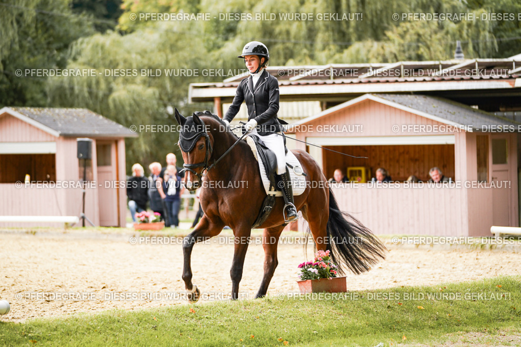 DSC02290 | Pferdegrafie