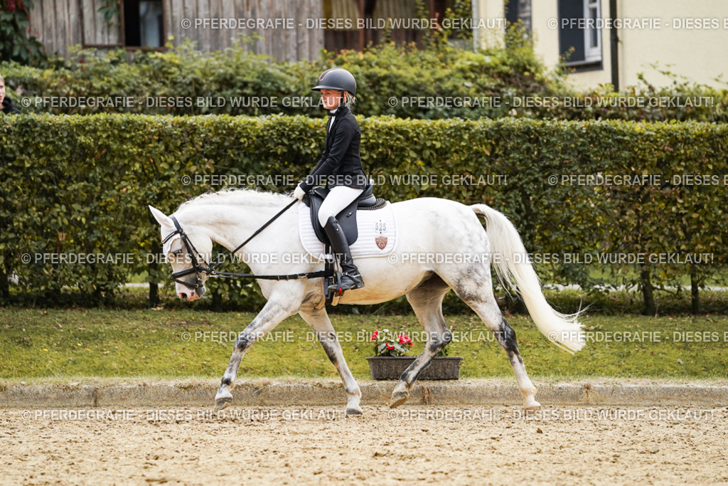 DSC09504 | Pferdegrafie