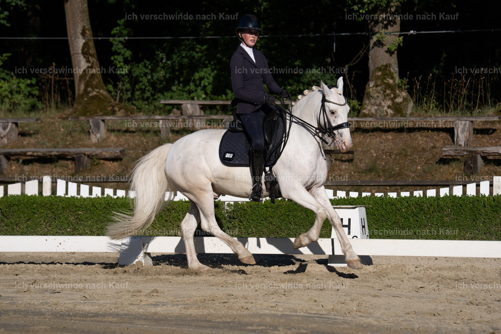 WM_DR_101_sinafilmart_IN04671 | working equitationturnier fotograf videograf stoibphotography marixx film working equitation deutschland reitsport turnierfotografie eventfotografie equestrian events