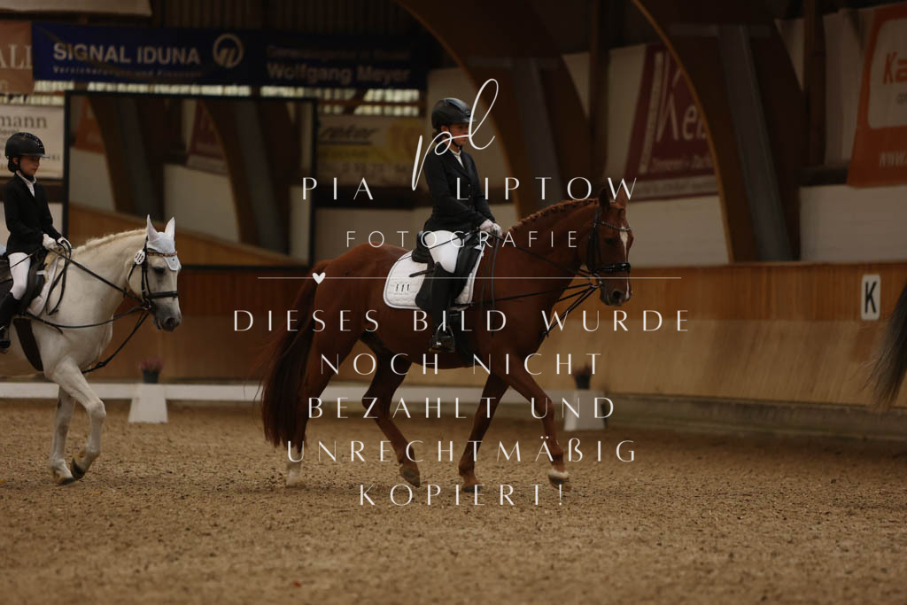 IMGM8916 | pl-fotografie